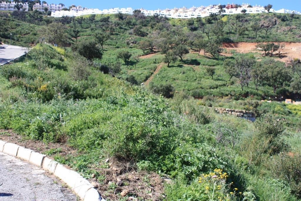 Residential Plot in La Mairena — photo 5 of 10