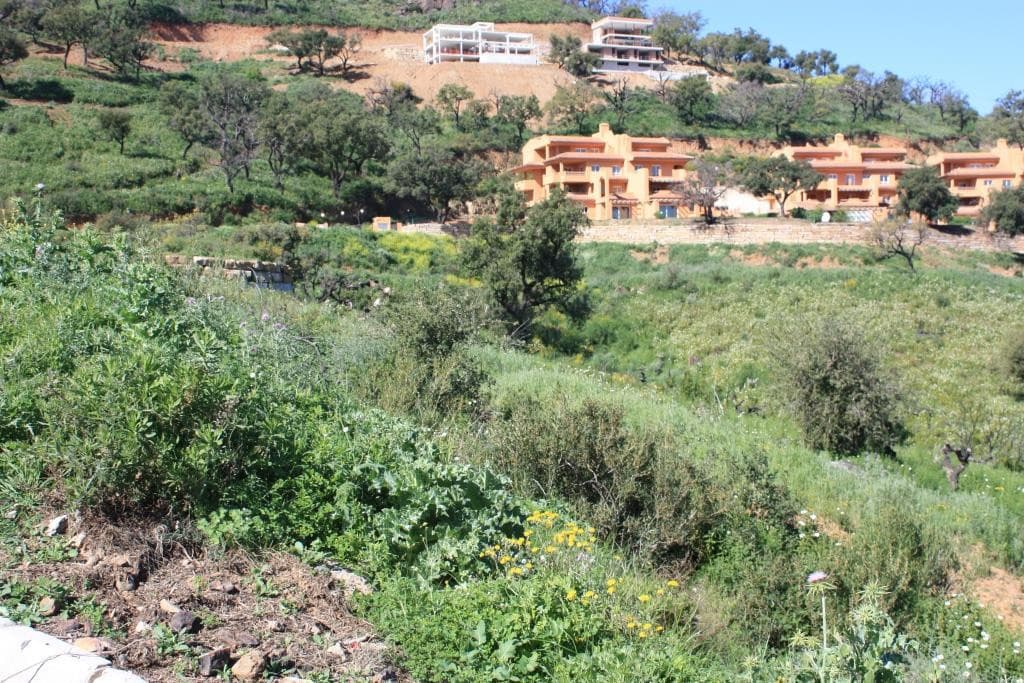 Residential Plot in La Mairena — photo 6 of 10
