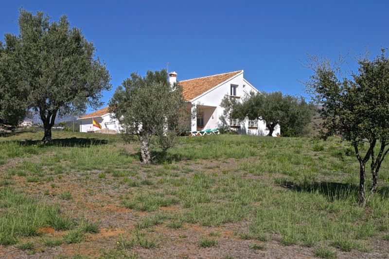 Detached Villa in Elviria — photo 9 of 10