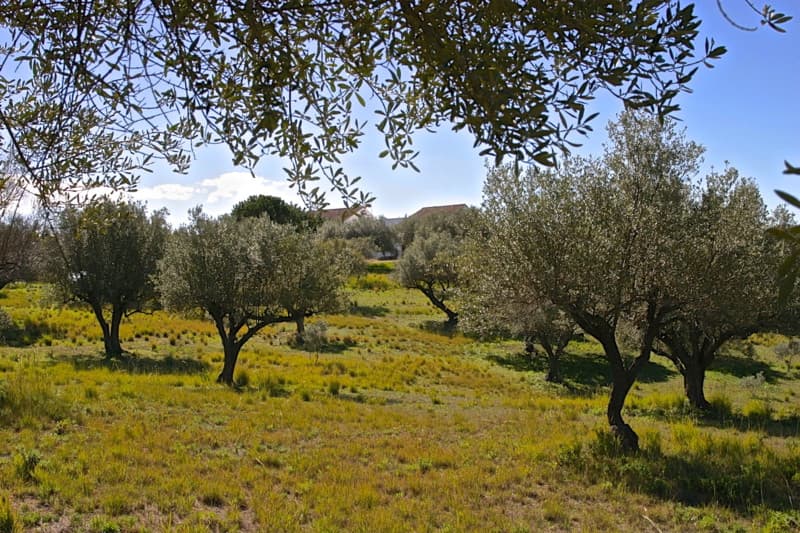 Detached Villa in Elviria — photo 10 of 10