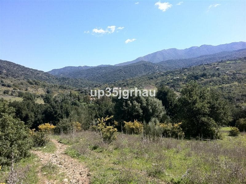 Land in Casares — photo 1 of 5