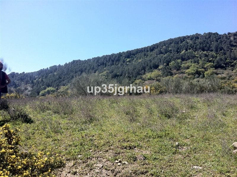 Land in Casares — photo 5 of 5