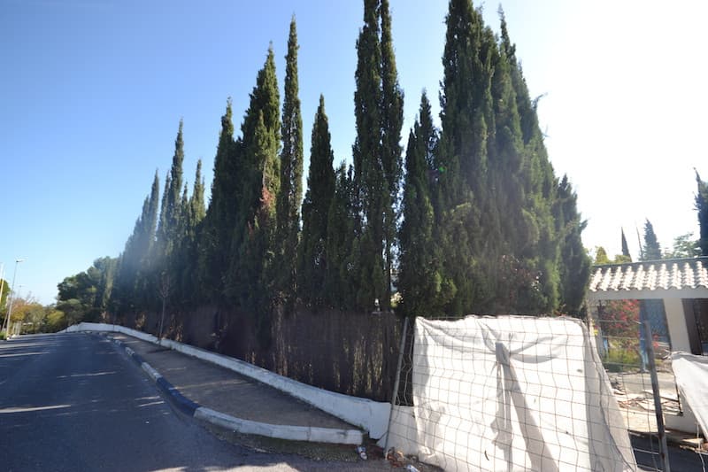 Land with Ruin in Sierra Blanca — photo 2 of 10