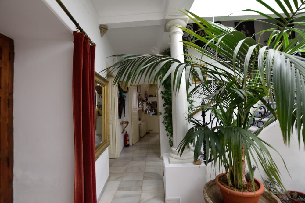 Detached Villa in Ronda — photo 5 of 10