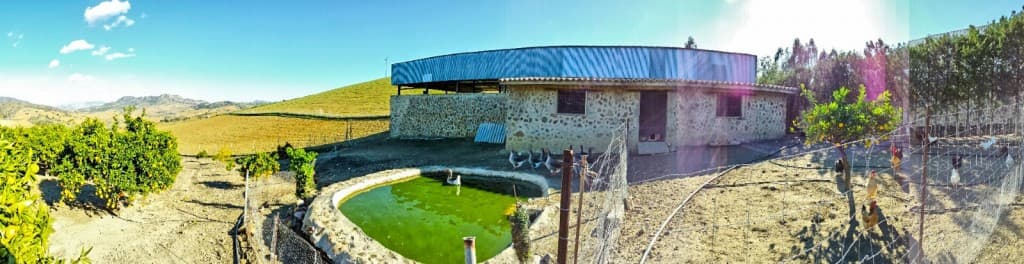Cortijo in Casarabonela — photo 8 of 10