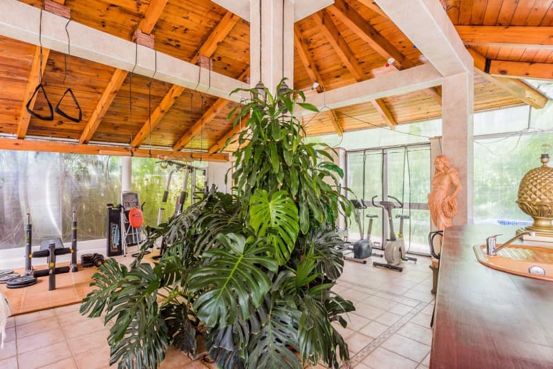 Detached Villa in El Rosario — photo 3 of 10