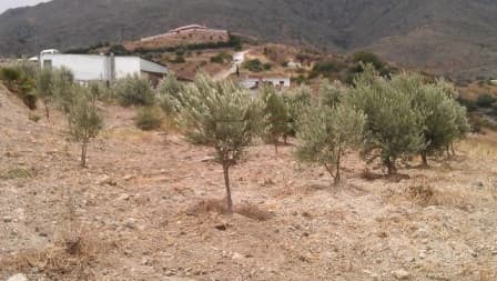 Land in Estepona — photo 1 of 10