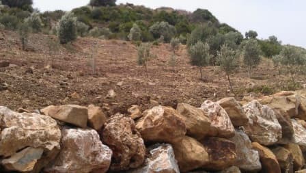 Land in Estepona — photo 2 of 10
