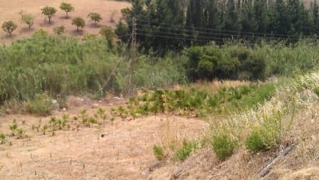 Land in Estepona — photo 3 of 10