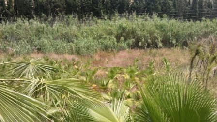 Land in Estepona — photo 4 of 10