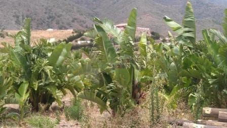 Land in Estepona — photo 6 of 10