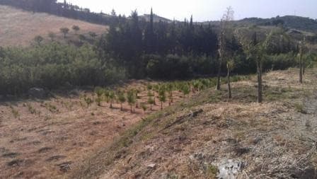 Land in Estepona — photo 7 of 10