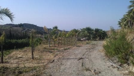 Land in Estepona — photo 8 of 10