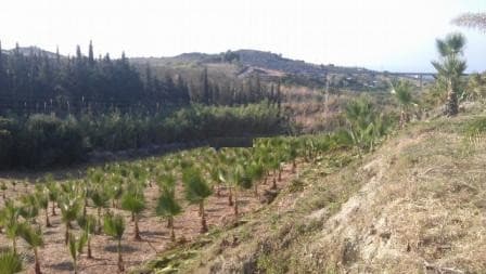 Land in Estepona — photo 9 of 10