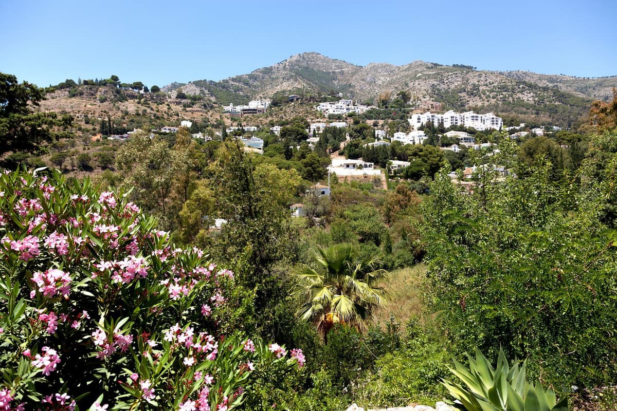 Detached Villa in Mijas — photo 9 of 10