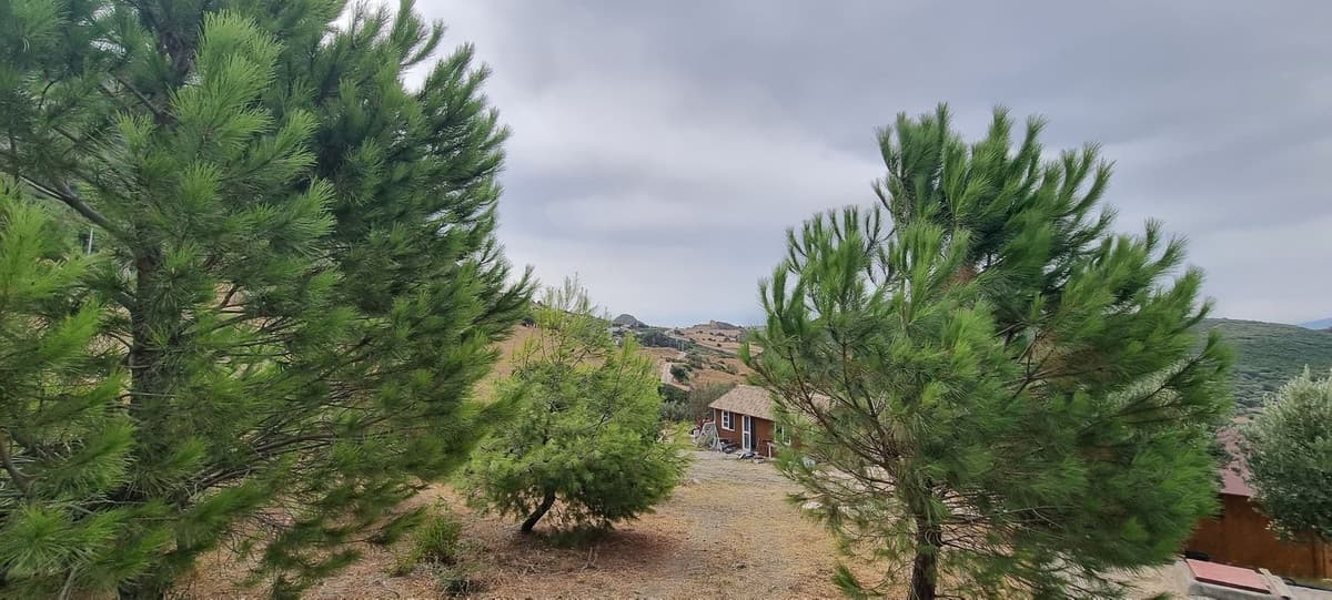 Cortijo in Casares — photo 10 of 10
