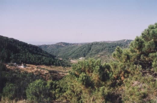 Cortijo in Estepona — photo 10 of 10