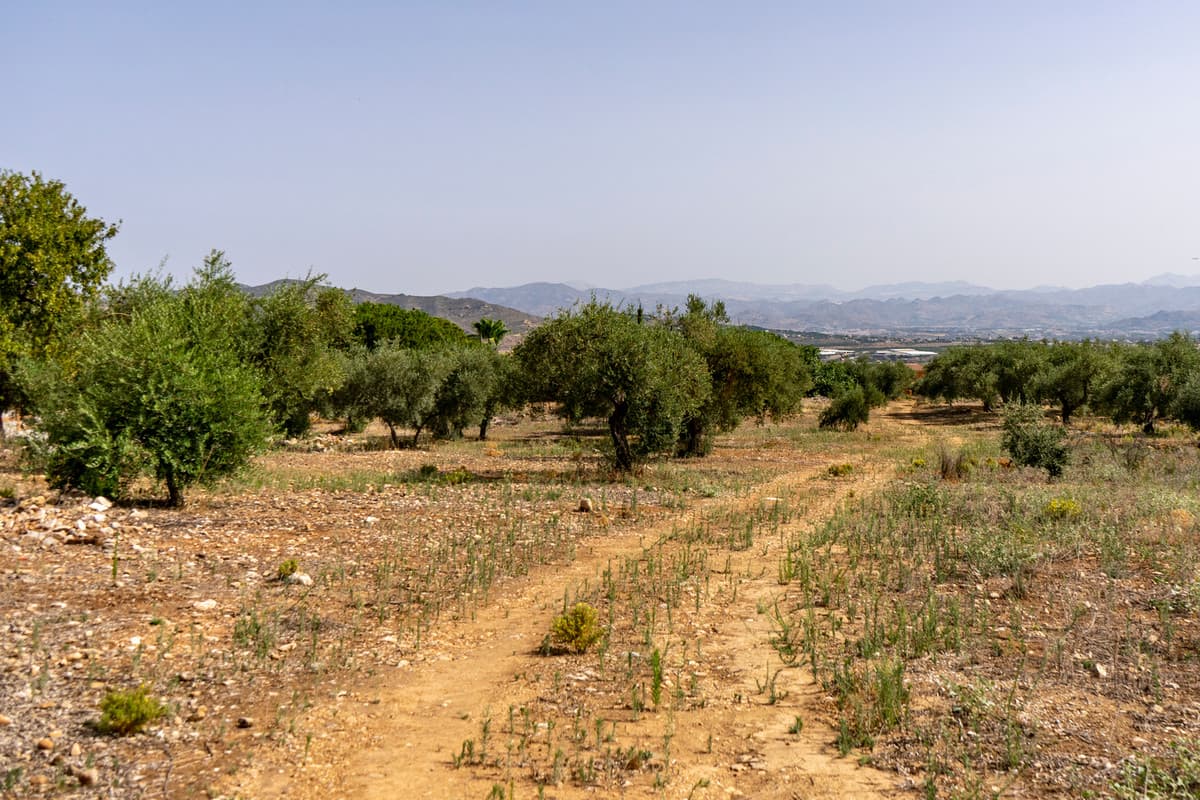 Residential Plot in Alhaurín de la Torre — photo 1 of 6