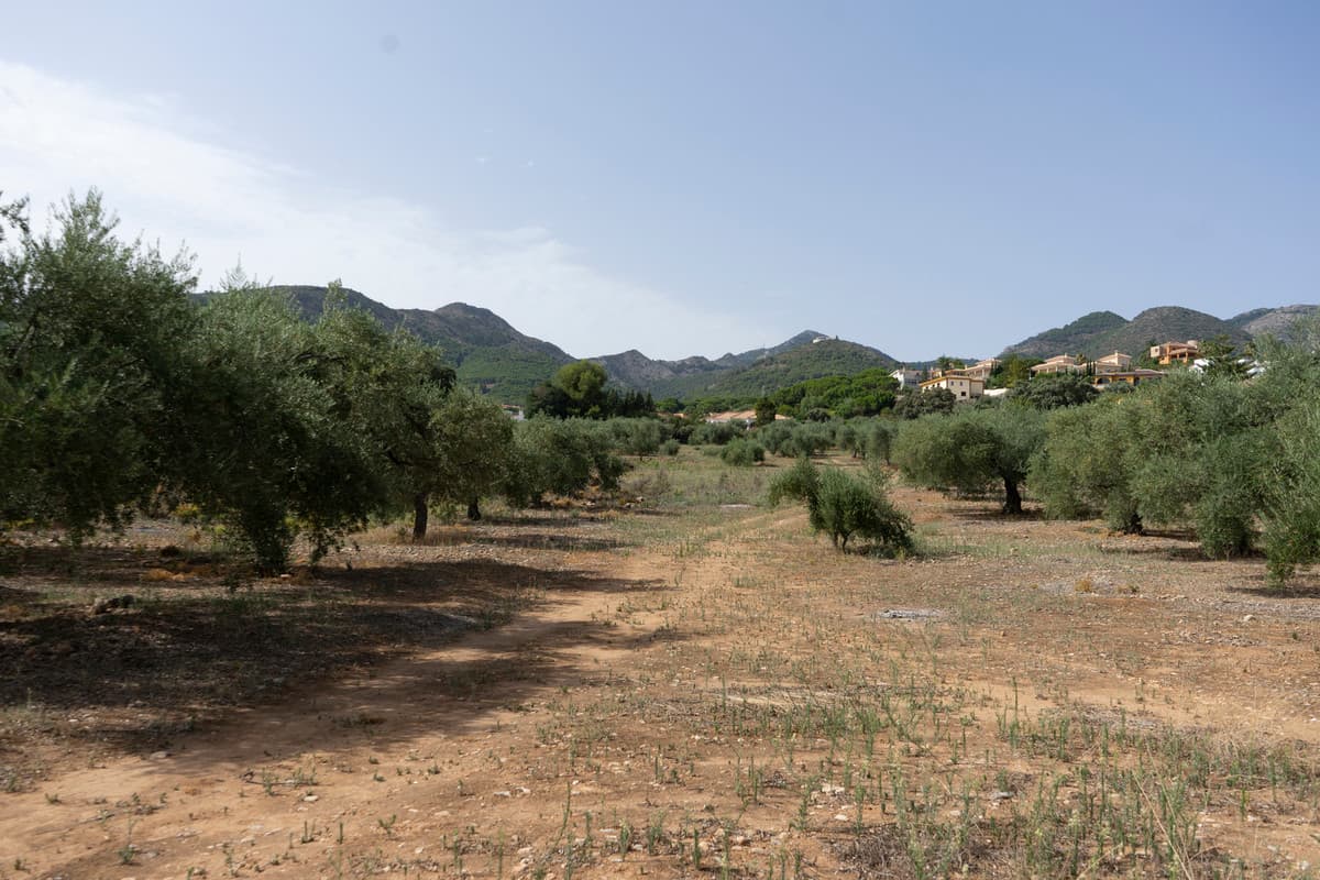 Residential Plot in Alhaurín de la Torre — photo 2 of 6