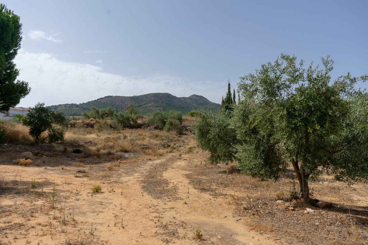 Residential Plot in Alhaurín de la Torre — photo 3 of 6