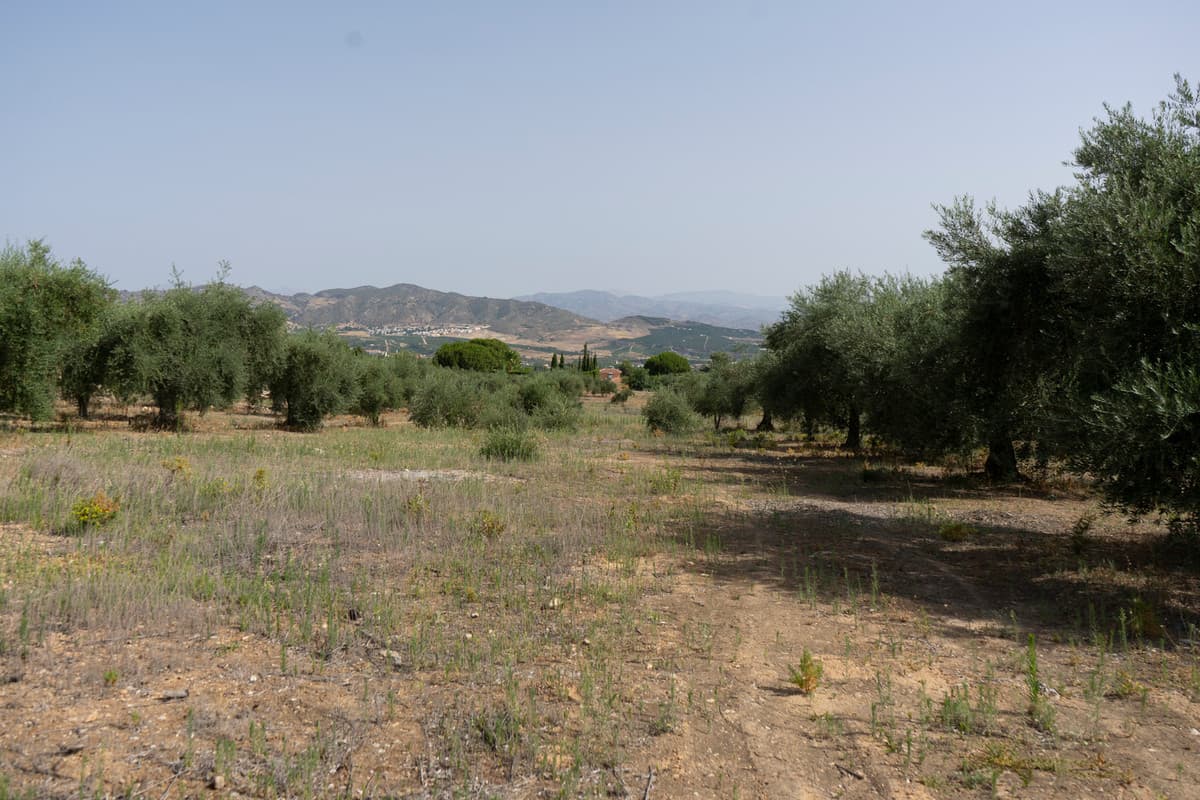 Residential Plot in Alhaurín de la Torre — photo 5 of 6