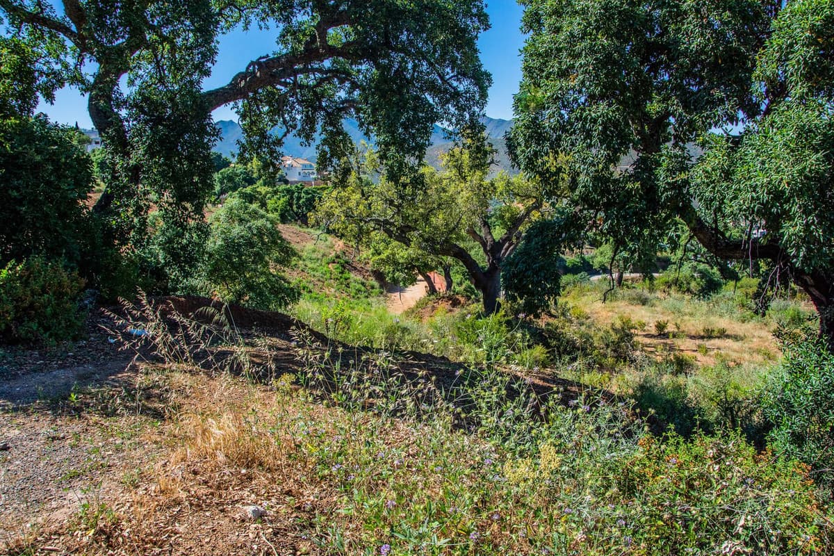 Residential Plot in La Mairena — photo 2 of 7