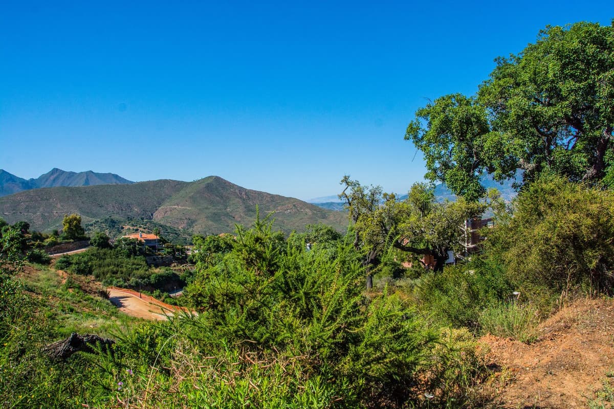 Residential Plot in La Mairena — photo 3 of 7