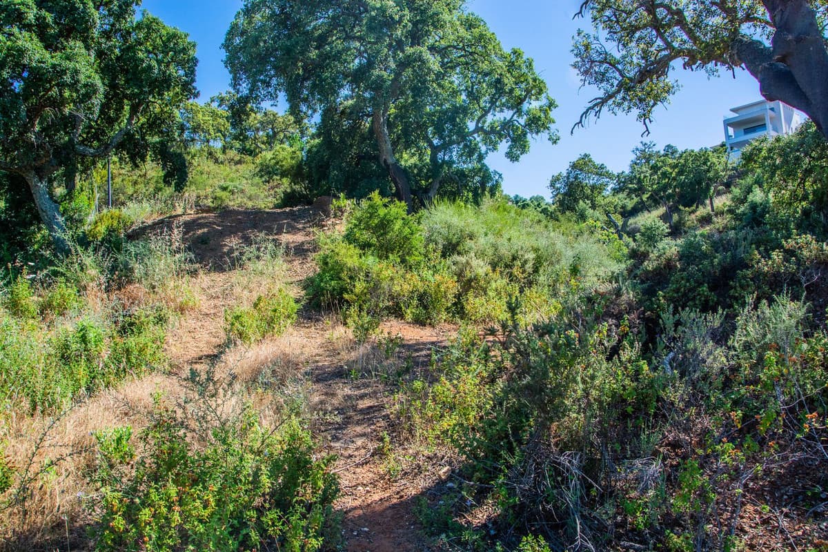 Residential Plot in La Mairena — photo 5 of 7