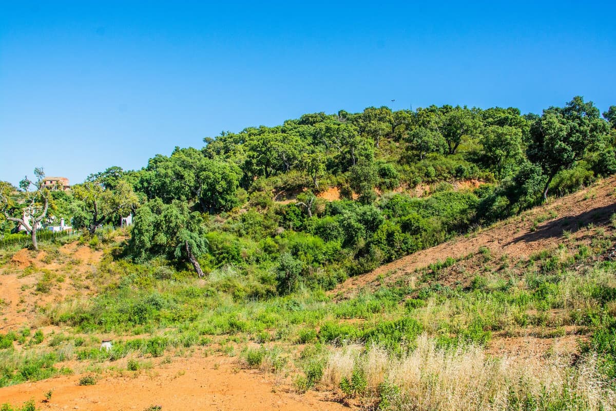 Residential Plot in La Mairena — photo 6 of 7