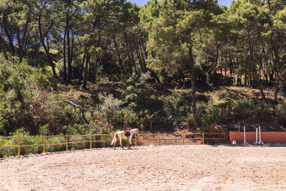 Residential Plot in Benahavís — photo 9 of 10