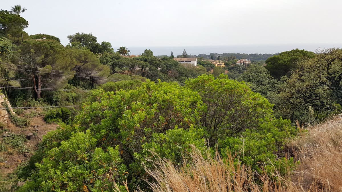 Residential Plot in Elviria — photo 2 of 8