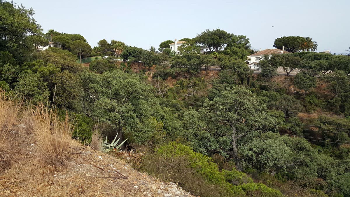 Residential Plot in Elviria — photo 4 of 8