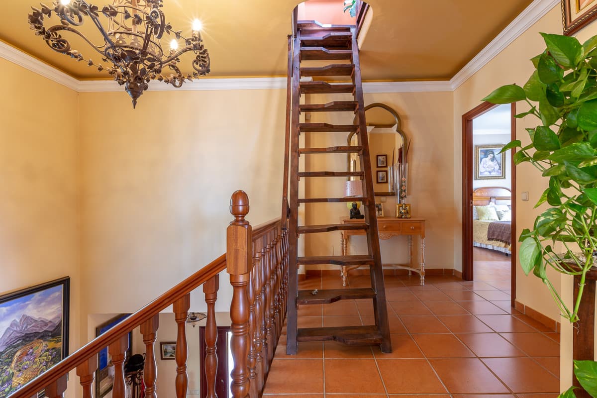 Detached Villa in Marbella — photo 7 of 10