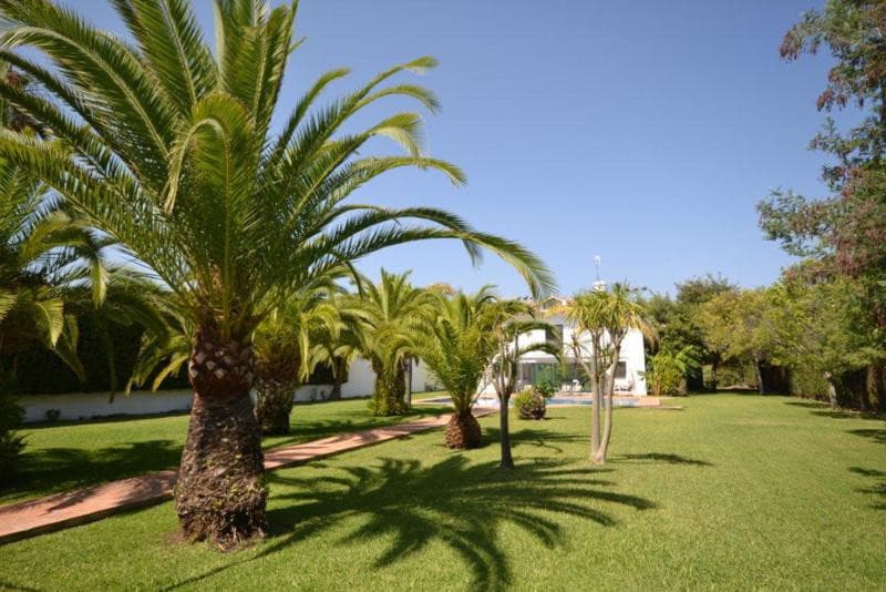 Detached Villa in Guadalmina Baja — photo 3 of 10