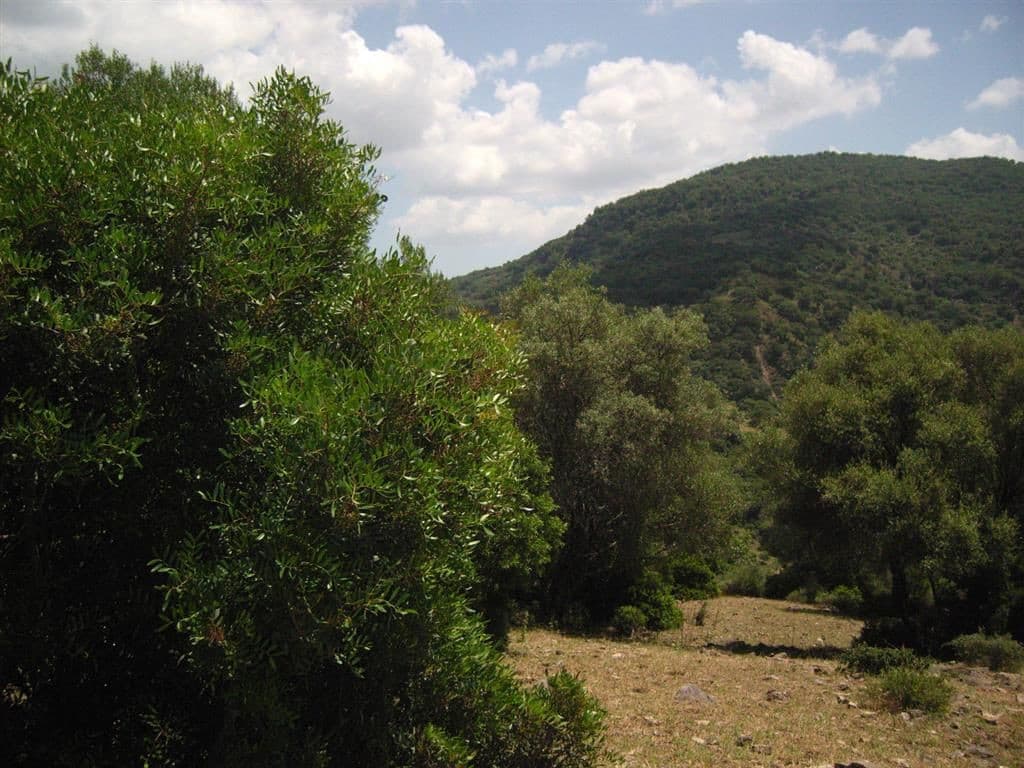 Land in Estación de Gaucin — photo 3 of 10