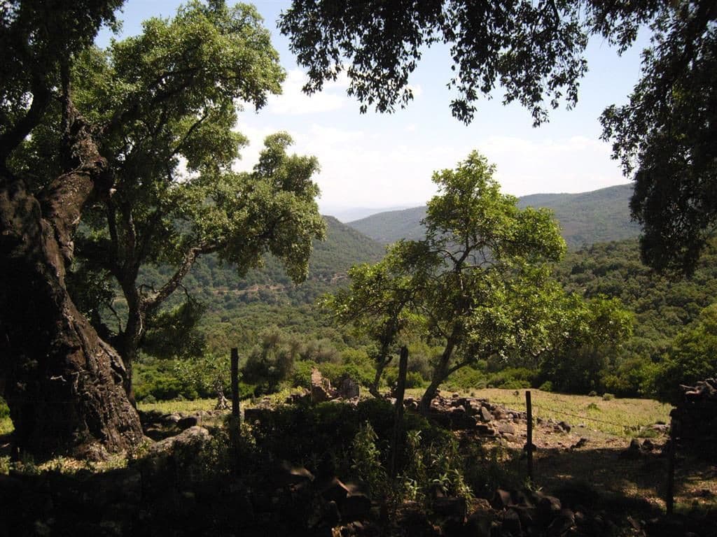 Land in Estación de Gaucin — photo 5 of 10