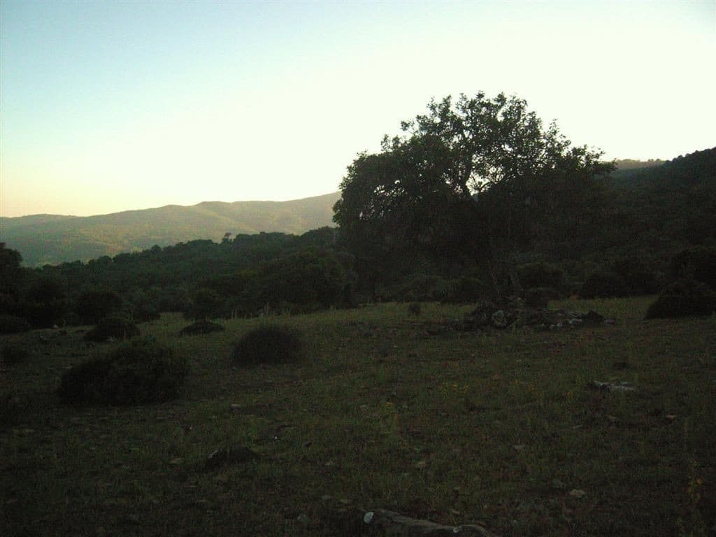 Land in Estación de Gaucin — photo 9 of 10