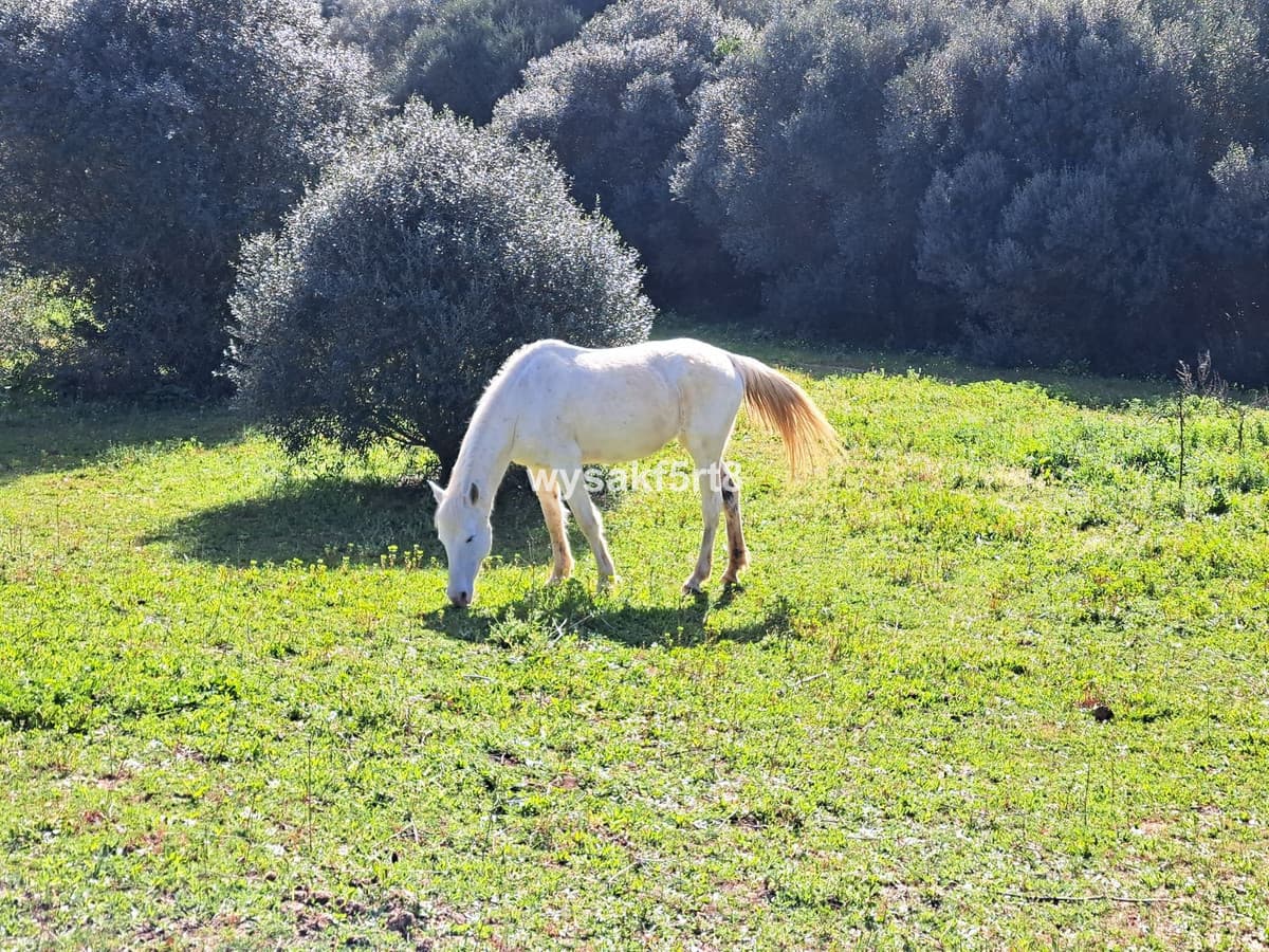 Land in San Roque — photo 3 of 10