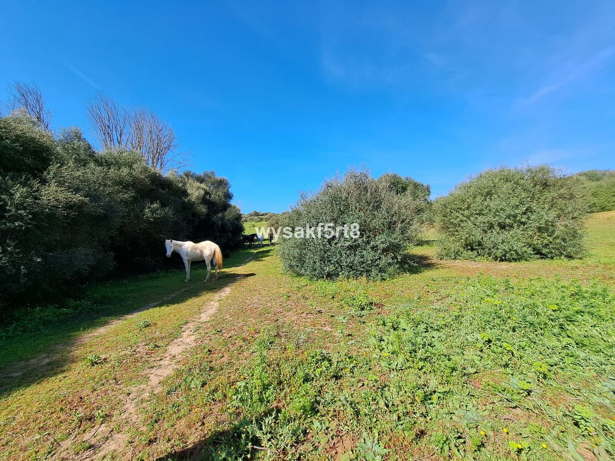 Land in San Roque — photo 4 of 10