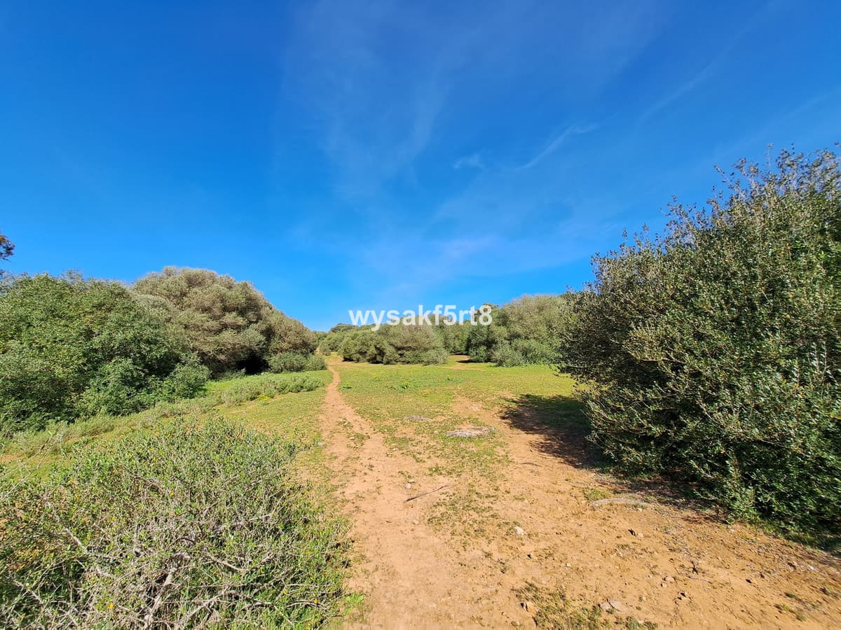 Land in San Roque — photo 5 of 10