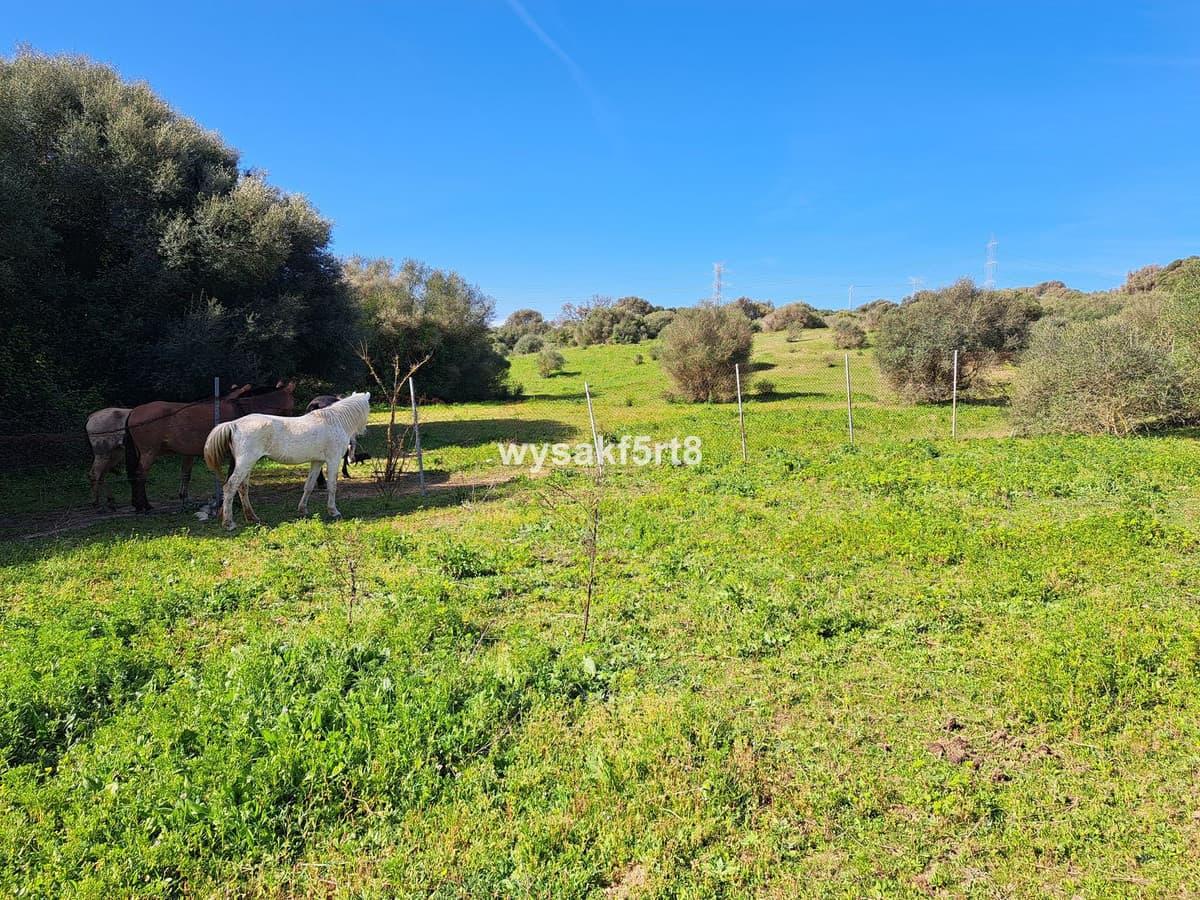 Land in San Roque — photo 6 of 10