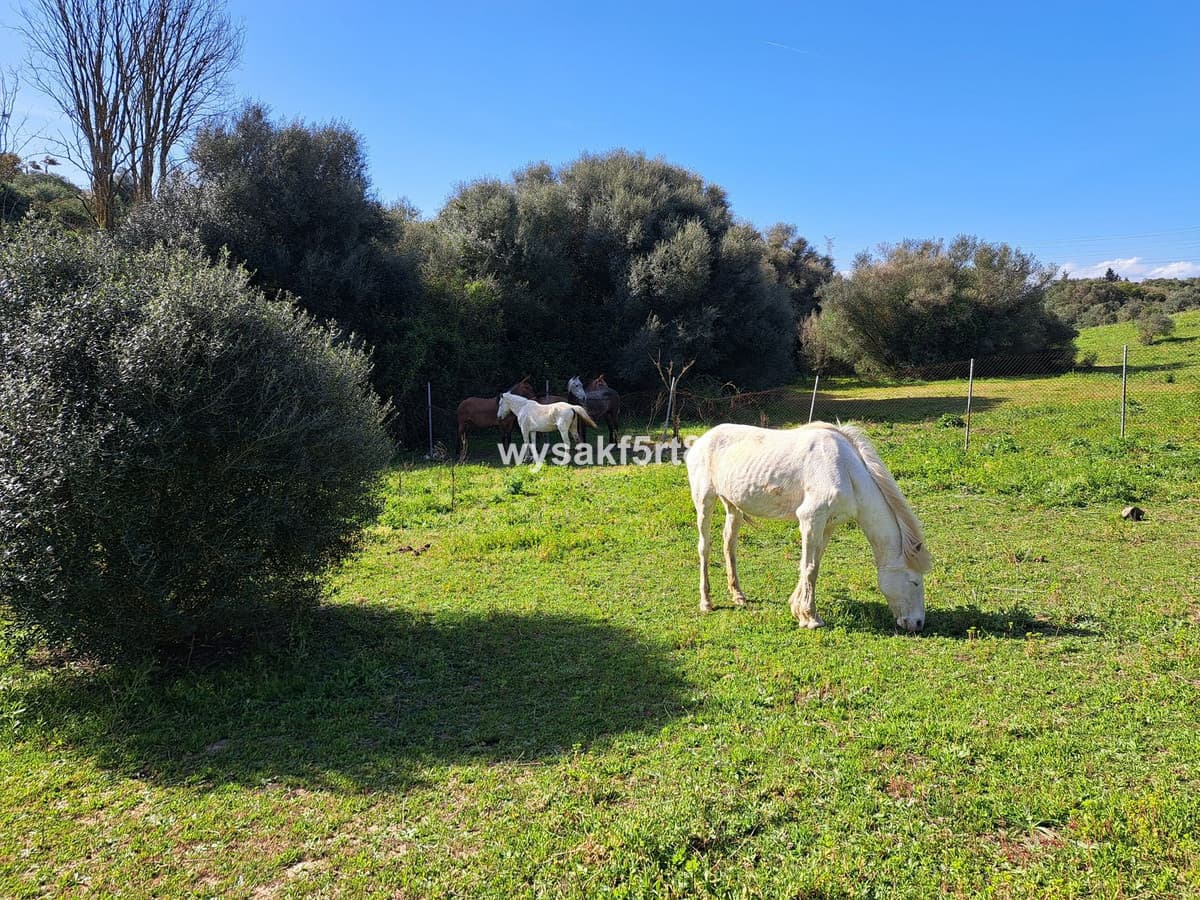 Land in San Roque — photo 7 of 10