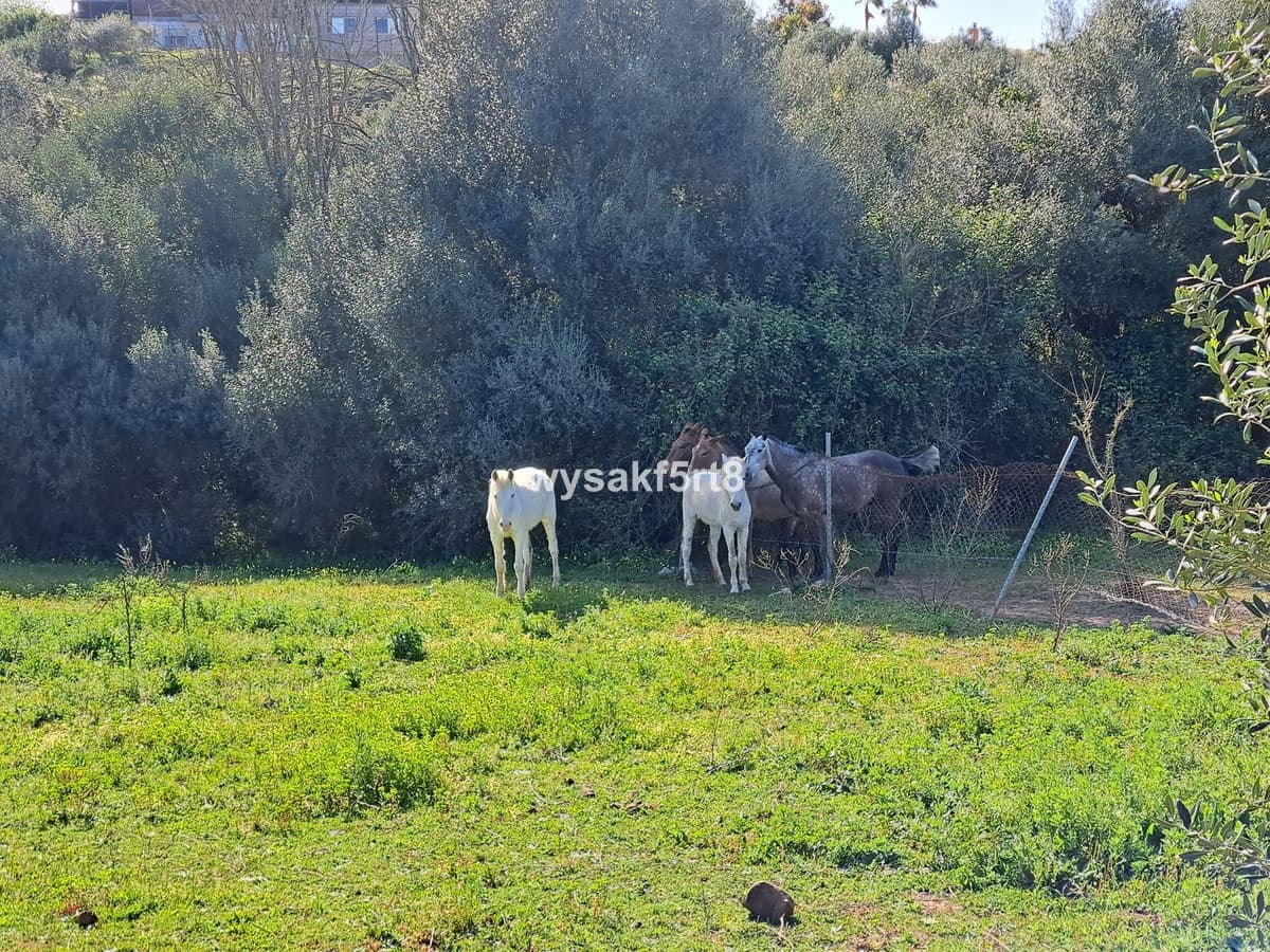 Land in San Roque — photo 9 of 10