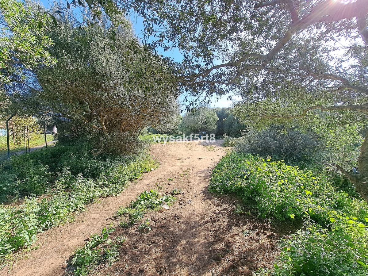 Land in San Roque — photo 10 of 10