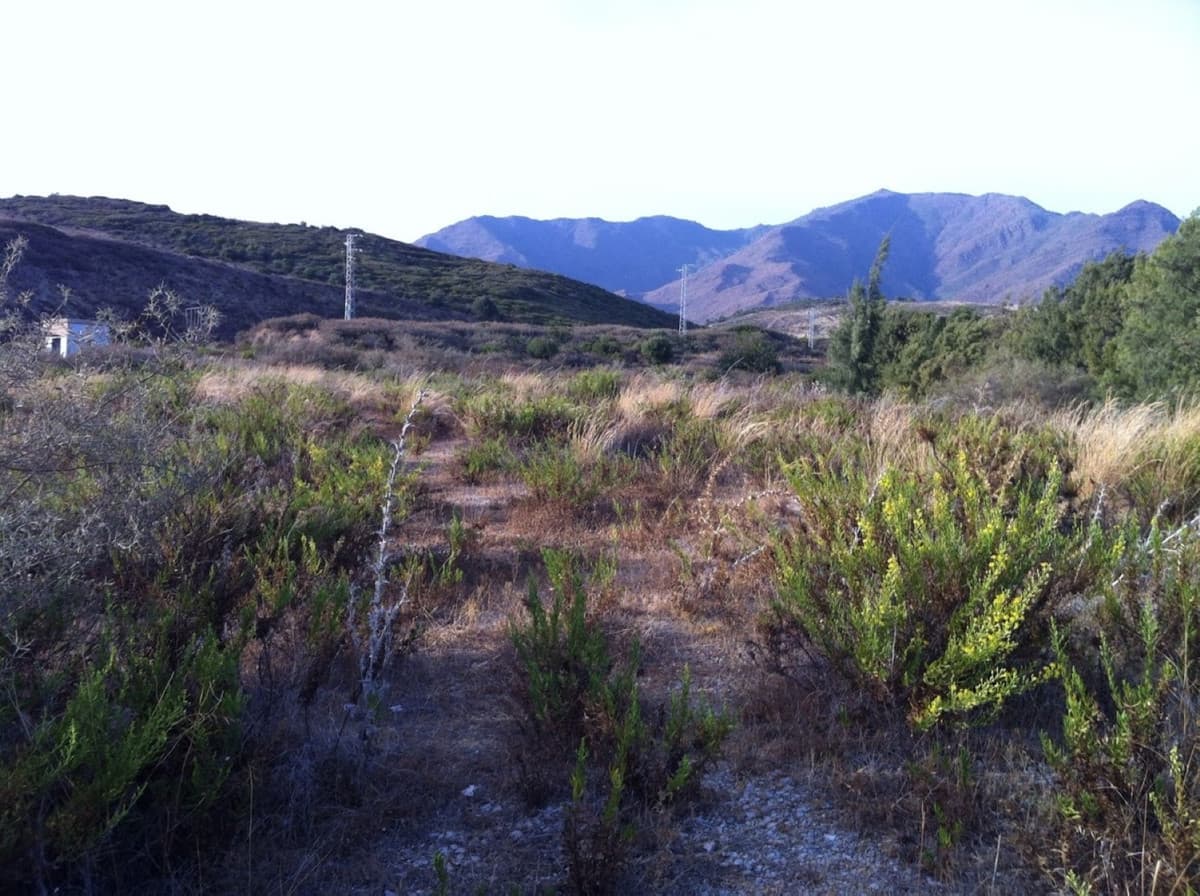 Land in Casares — photo 5 of 5
