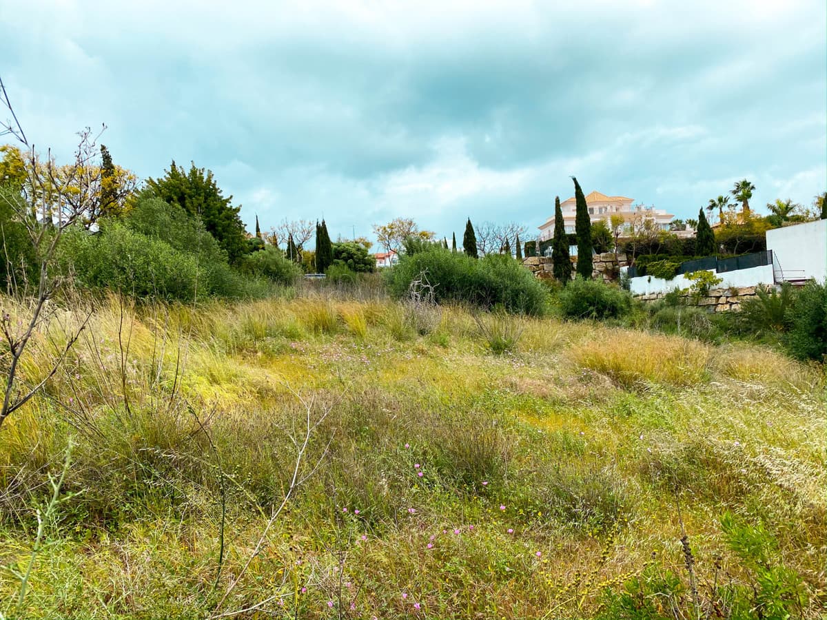 Residential Plot in Los Flamingos — photo 3 of 5