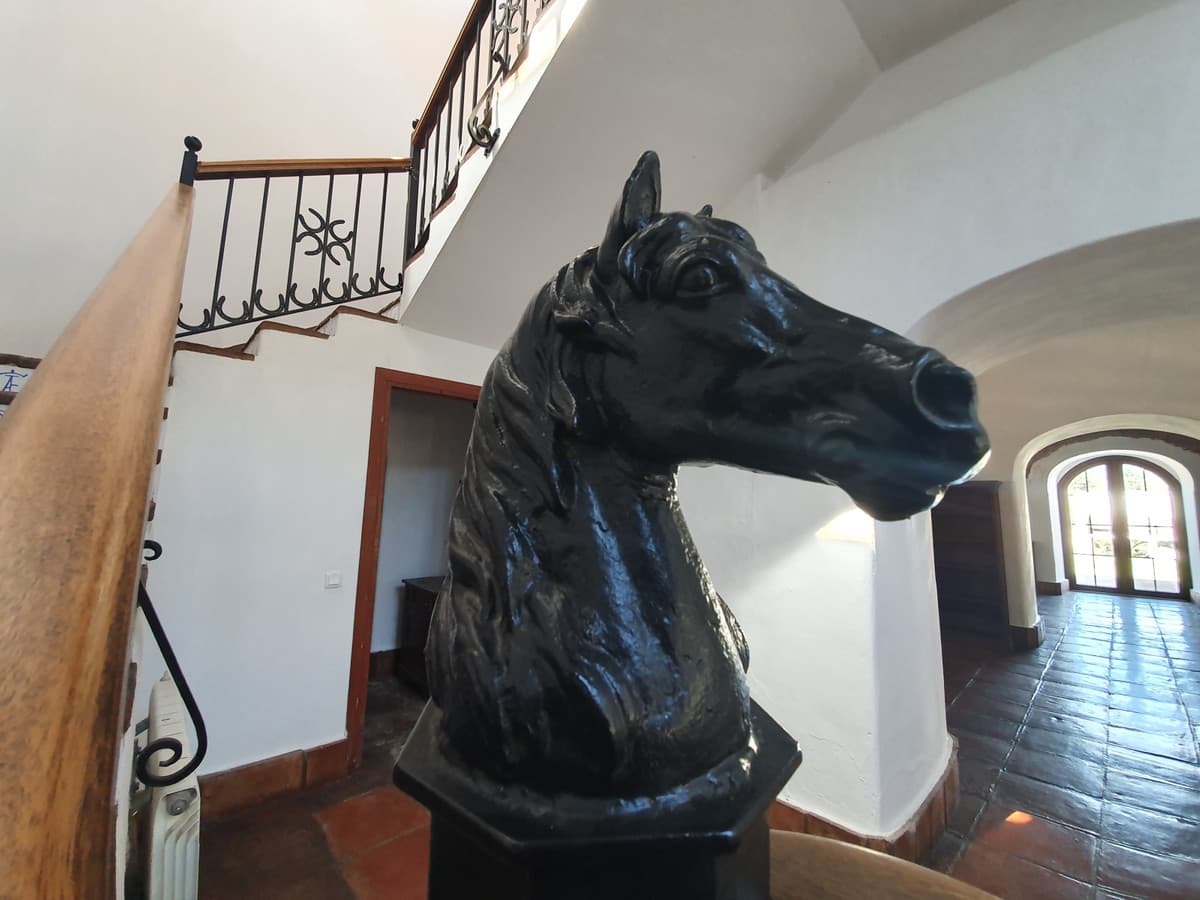 Cortijo in San Enrique — photo 4 of 10