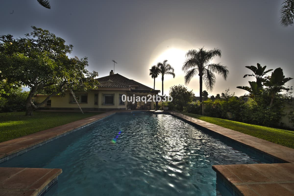 Detached Villa in New Golden Mile — photo 2 of 10