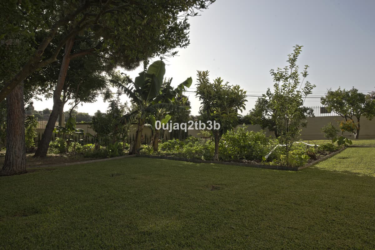 Detached Villa in New Golden Mile — photo 8 of 10