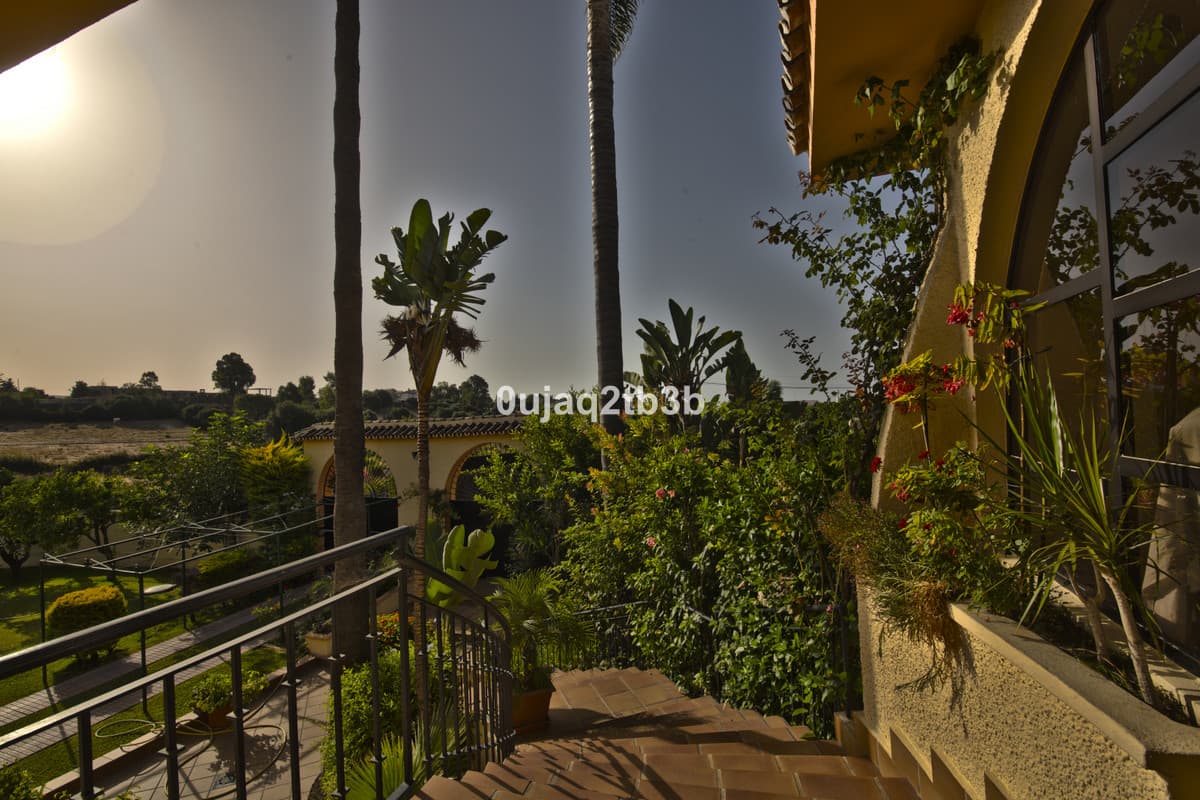 Detached Villa in New Golden Mile — photo 9 of 10